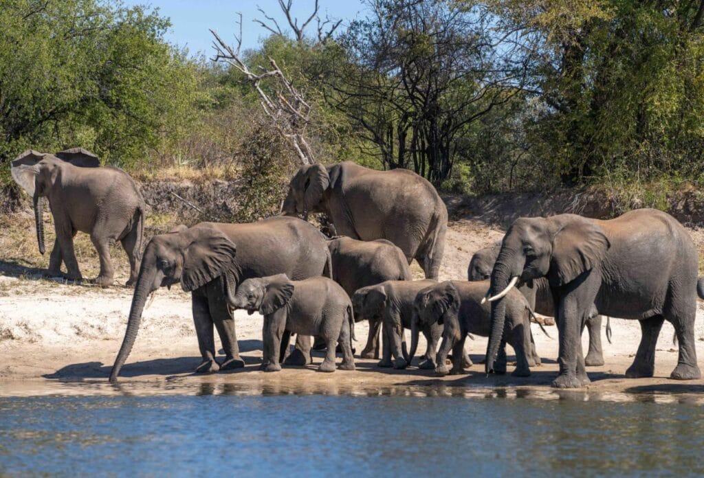 Luxury Travel Mag / Explore Our Editor’s Favourite June News Exclusive / Where Safari Meets The Sea – Without The Crowds / By Kate Symons
