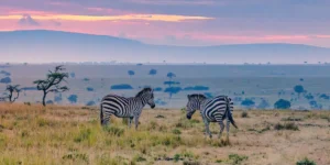 tansania_serengeti26-39d9701d