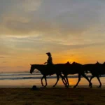4 Classic Itineraries For Costa Rica | By Elizabeth Lavis | Publisher Lonely Planet 